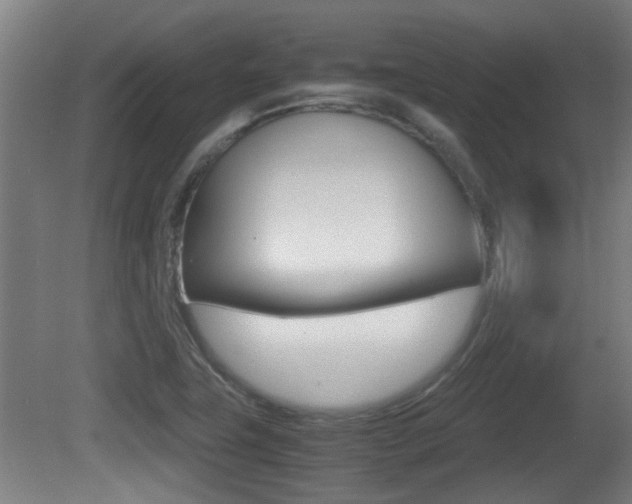 X0000081271411200701110856