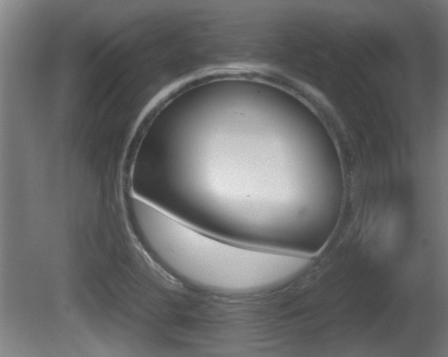 X0000081271412200701110856