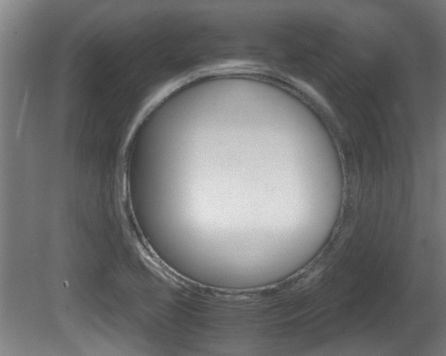 X0000081271413200701110856
