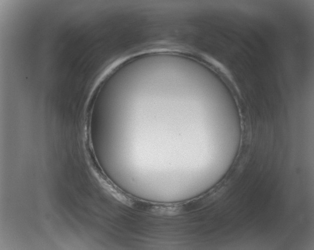 X0000081271415200701110856