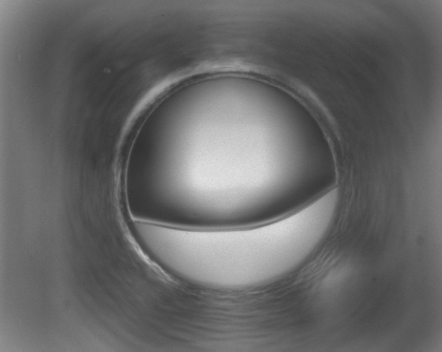X0000081271416200701110856