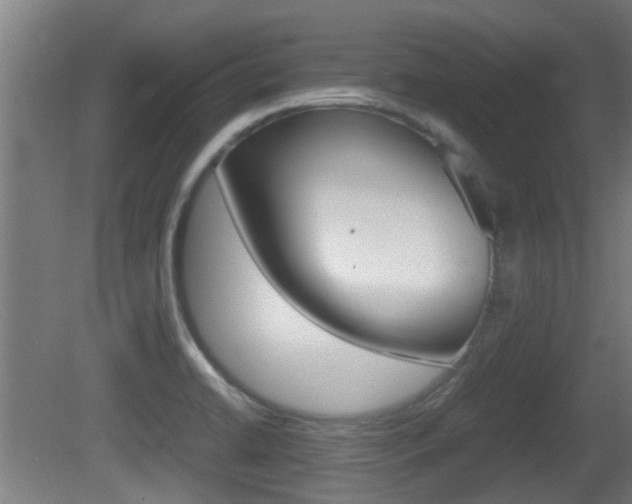 X0000081271422200701110856