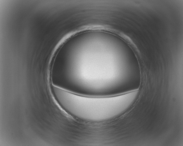 X0000081271424200701110856