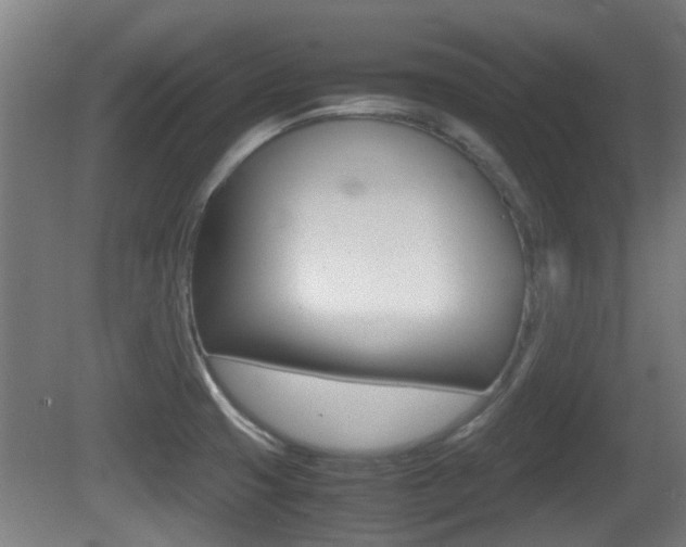 X0000081271425200701110856