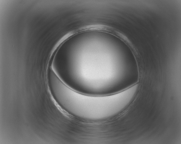 X0000081271426200701110856