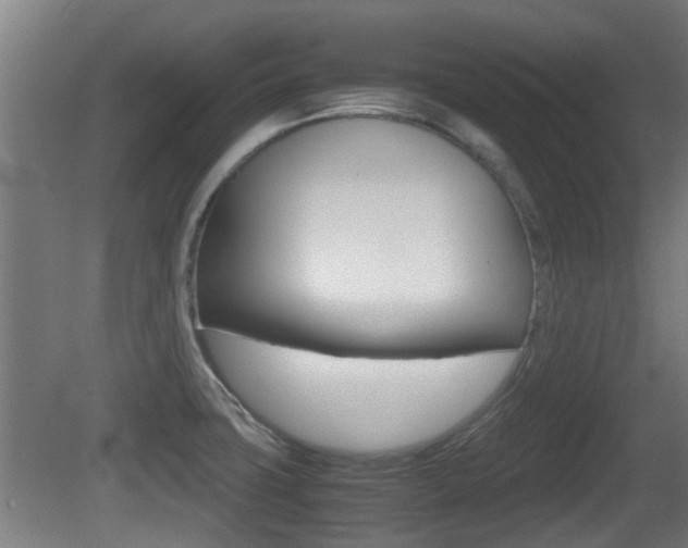 X0000081271427200701110856