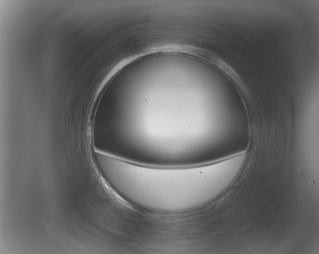 X0000081271428200701110856