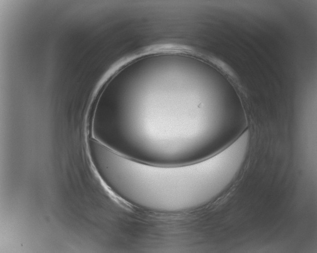 X0000081271430200701110856
