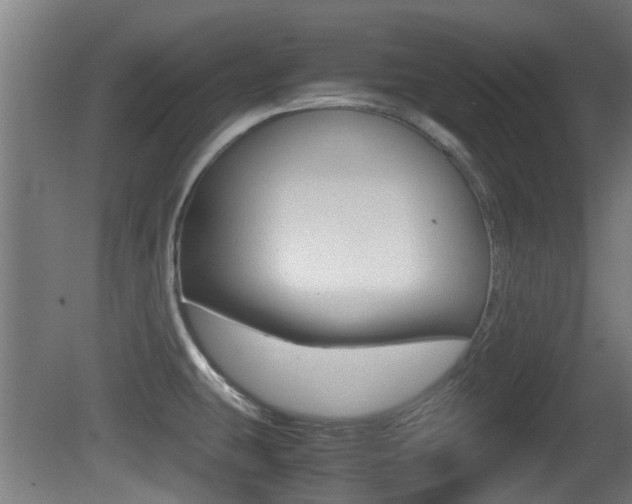 X0000081271431200701110856