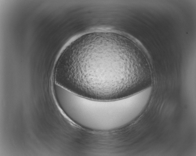 X0000081271432200701110856