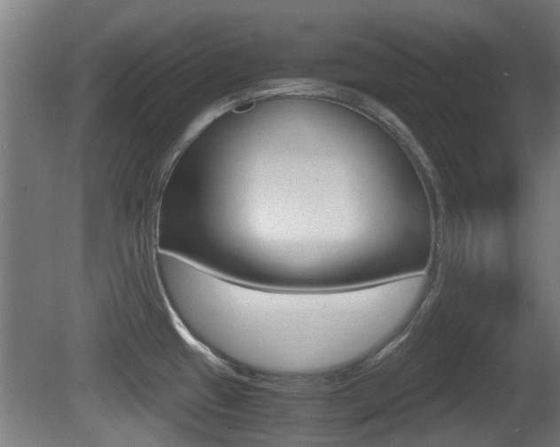 X0000081271433200701110856