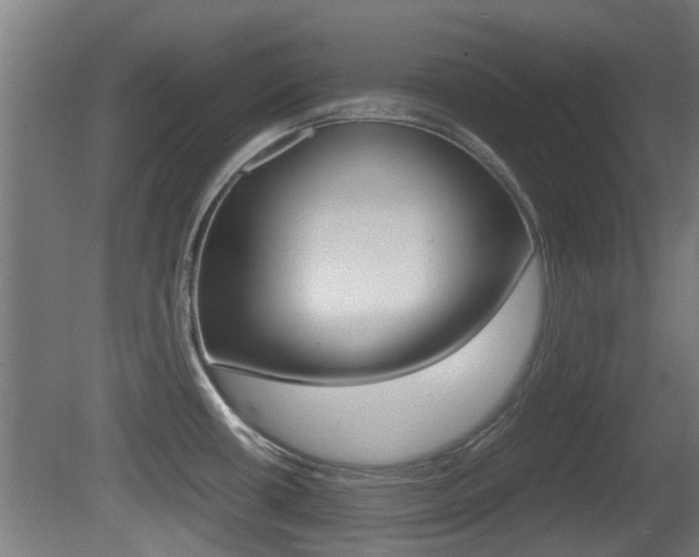 X0000081271434200701110856