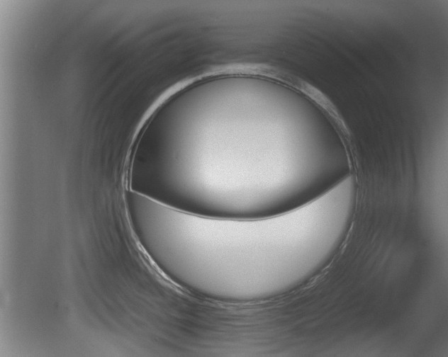 X0000081271436200701110856