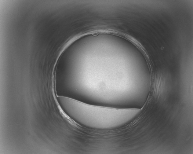 X0000081271439200701110856