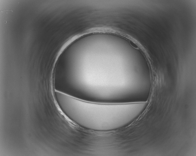 X0000081271440200701110856