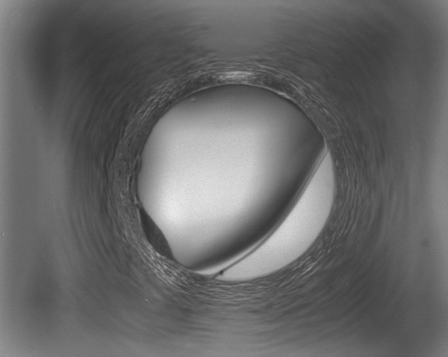 X0000081271441200701110855