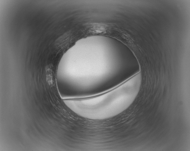 X0000081271442200701110855