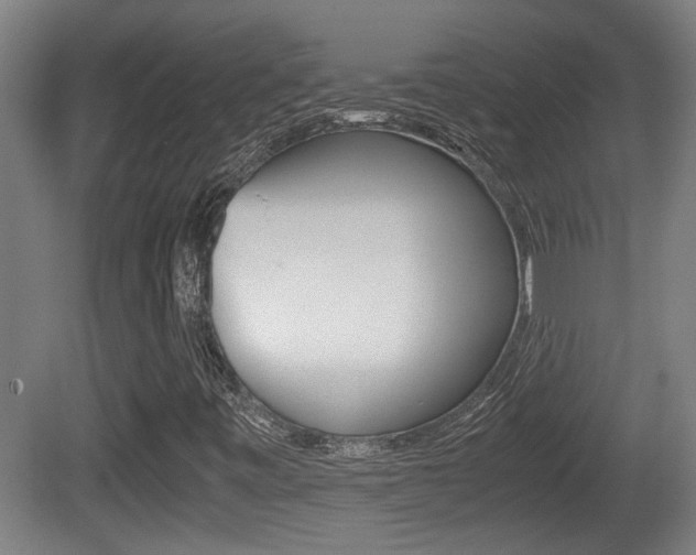 X0000081271443200701110855