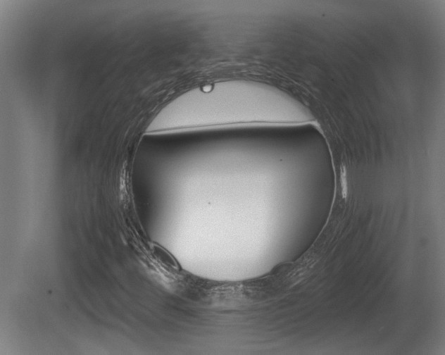 X0000081271444200701110855