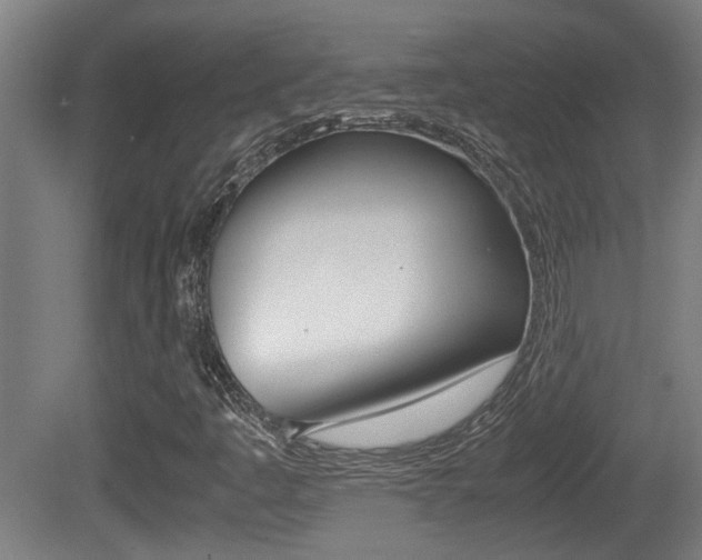 X0000081271445200701110855