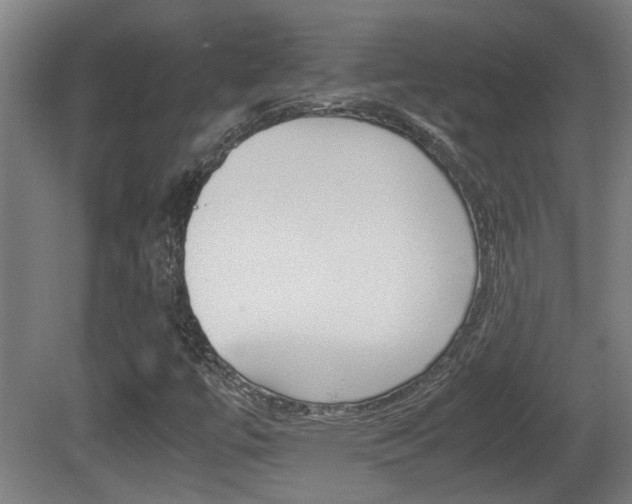 X0000081271447200701110855