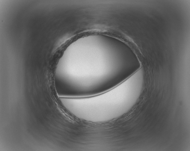 X0000081271448200701110855