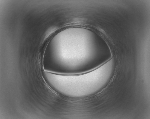 X0000081271450200701110855