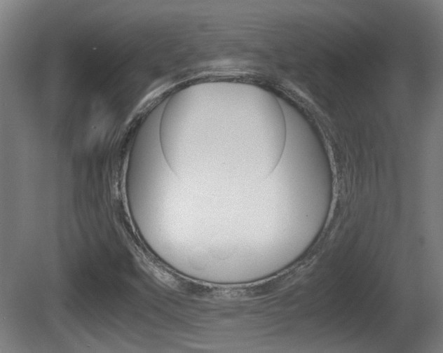 X0000081271451200701110855