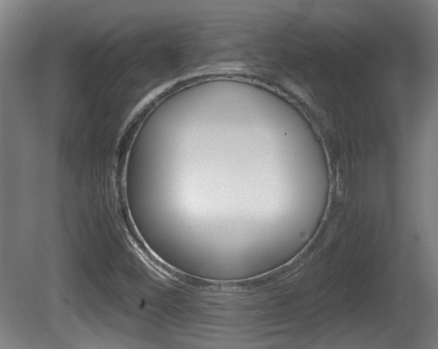 X0000081271452200701110855