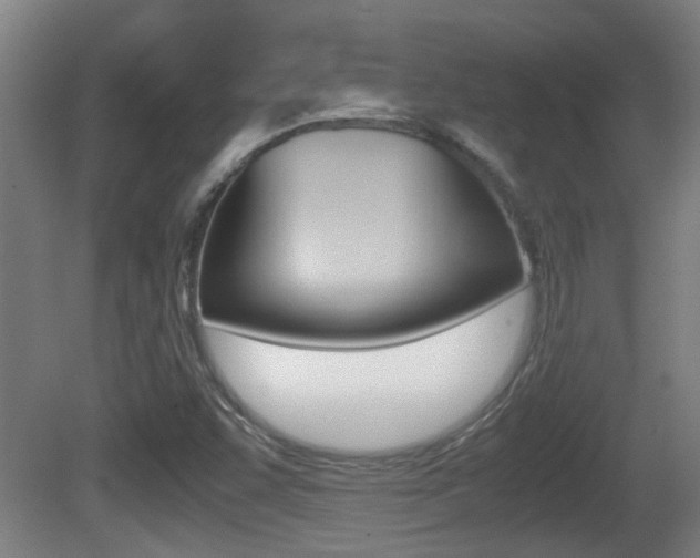 X0000081271455200701110855