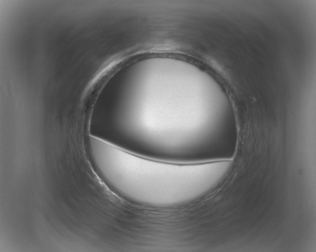 X0000081271456200701110855