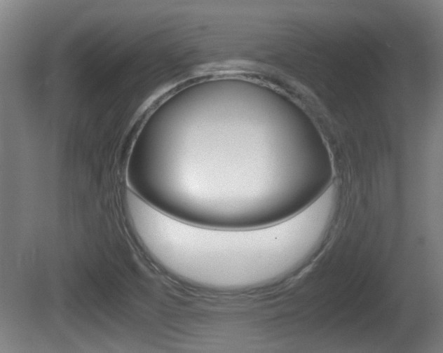 X0000081271457200701110855