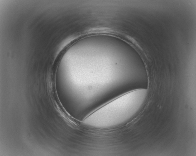 X0000081271458200701110855