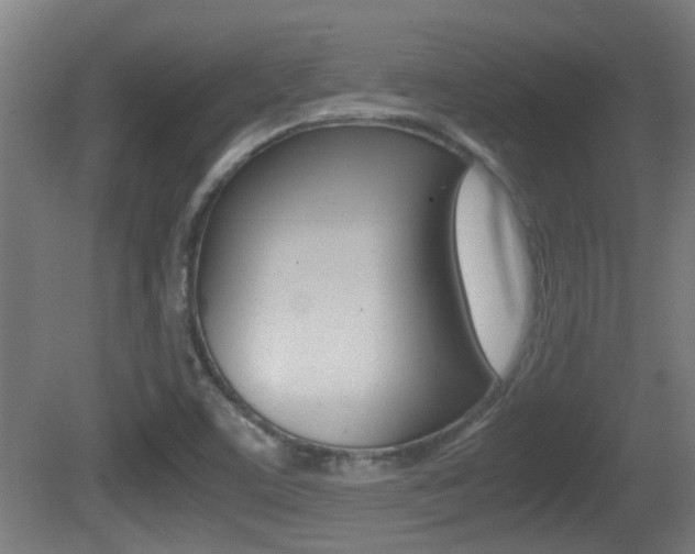 X0000081271459200701110855