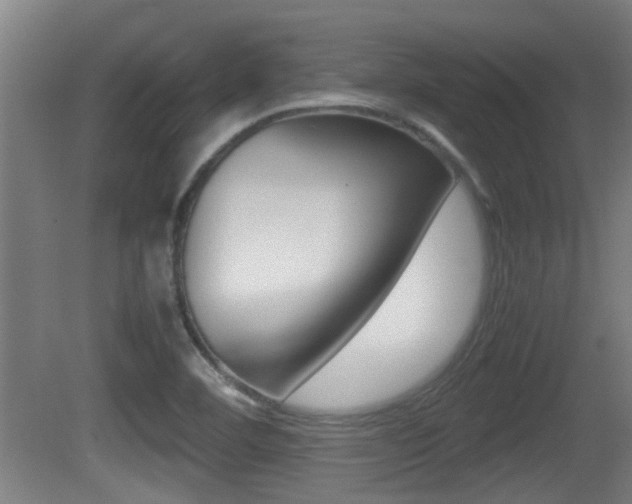 X0000081271460200701110855