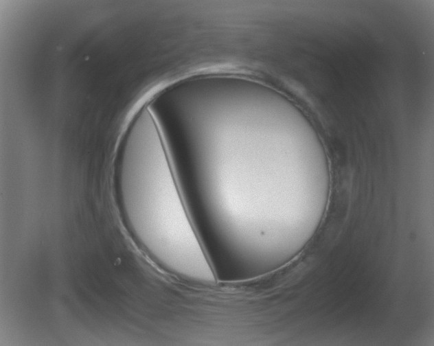 X0000081271463200701110855