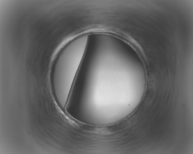 X0000081271464200701110855