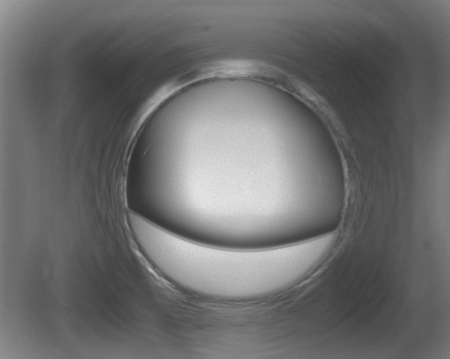 X0000081271473200701110855