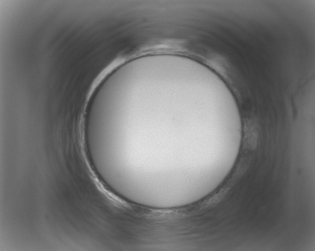 X0000081271474200701110855
