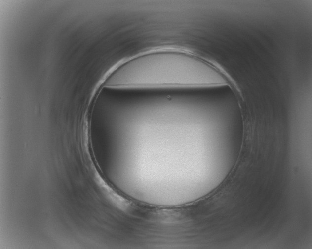 X0000081271476200701110855
