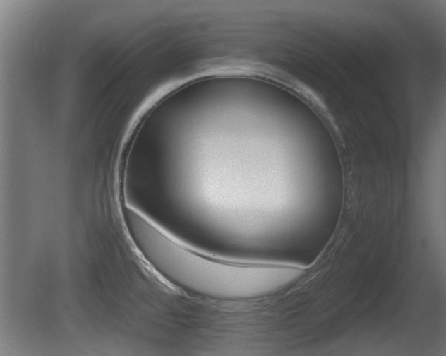 X0000081271480200701110855