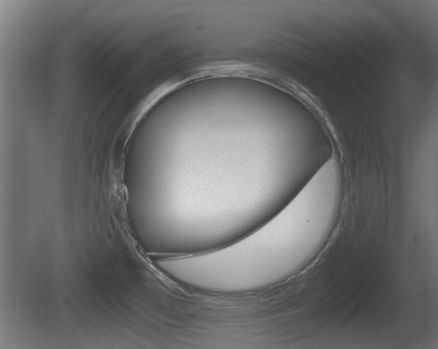 X0000081271481200701110855