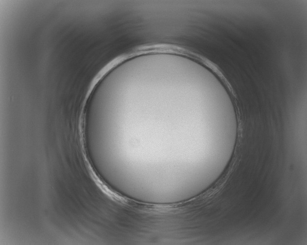 X0000081271482200701110855