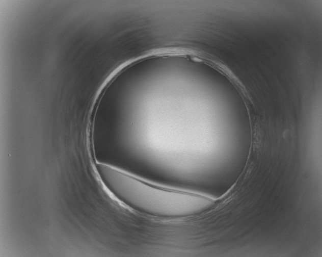 X0000081271484200701110855