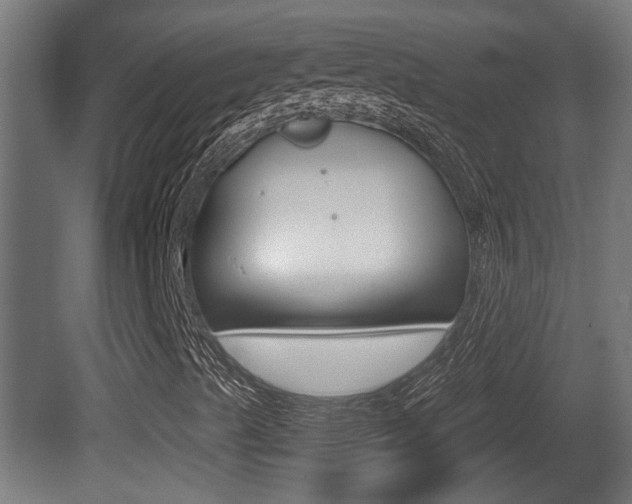 X0000081271489200701110854