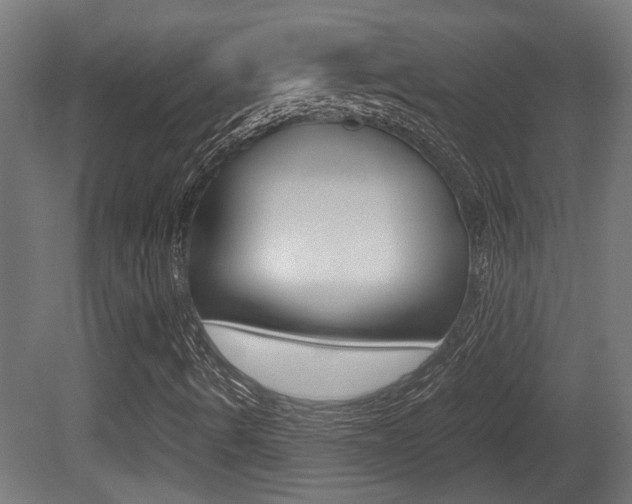 X0000081271490200701110854
