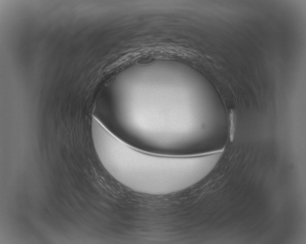 X0000081271491200701110854