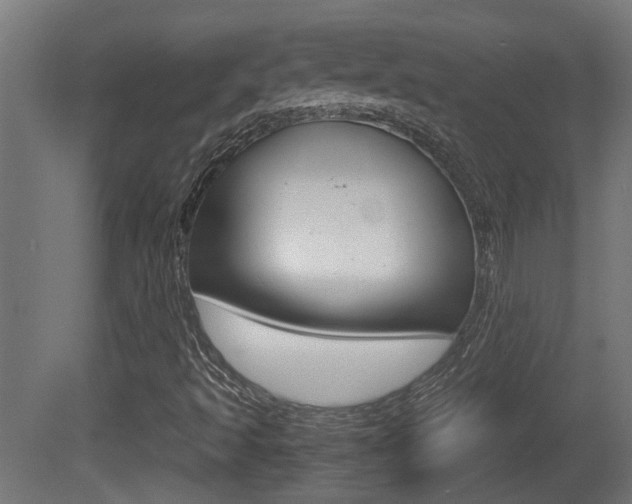 X0000081271493200701110854