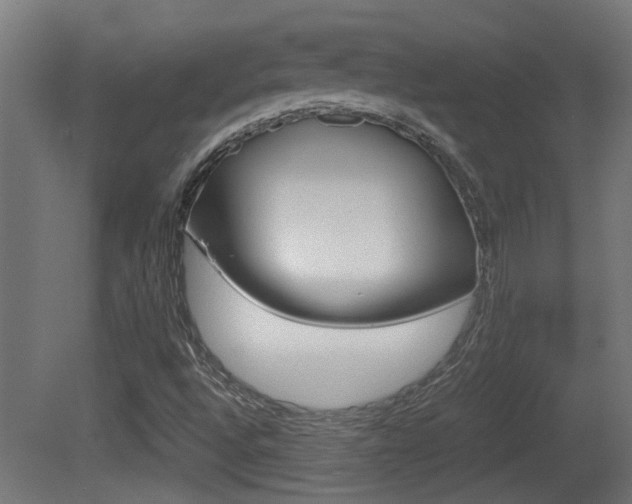 X0000081271496200701110854