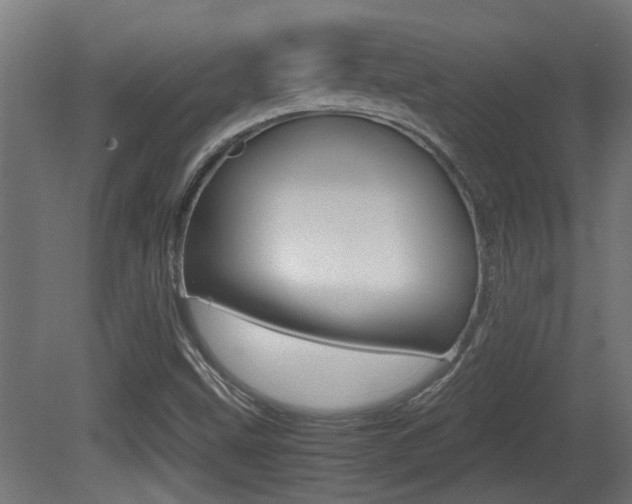 X0000081271499200701110854